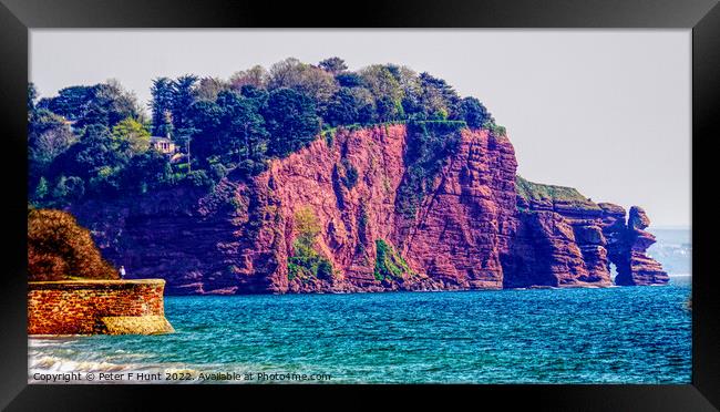 The Red Cliffs Of Teignmouth Framed Print by Peter F Hunt