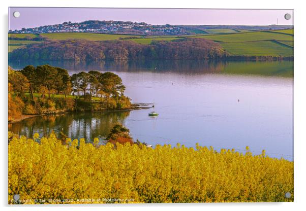 Serenity on the Kingsbridge Estuary Acrylic by Ian Stone