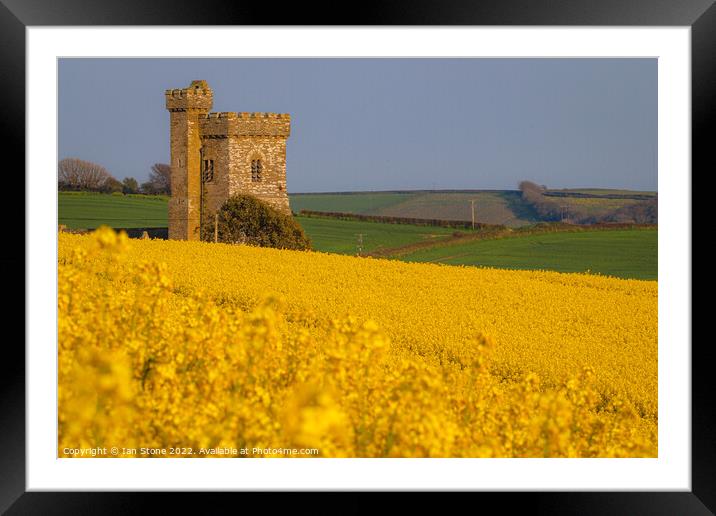 Enveloped by Yellow Framed Mounted Print by Ian Stone