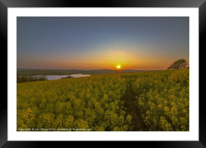 Golden sunset  Framed Mounted Print by Ian Stone