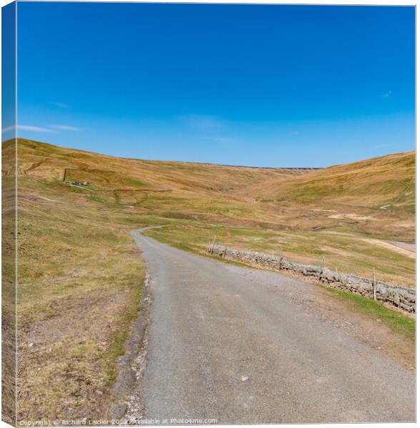 The Hudes Hope, Teesdale Canvas Print by Richard Laidler