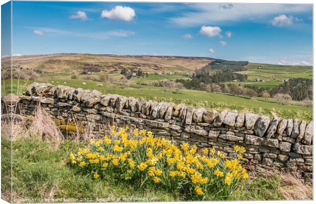 Towards Snaisgill from Aukside, Teesdale Canvas Print by Richard Laidler