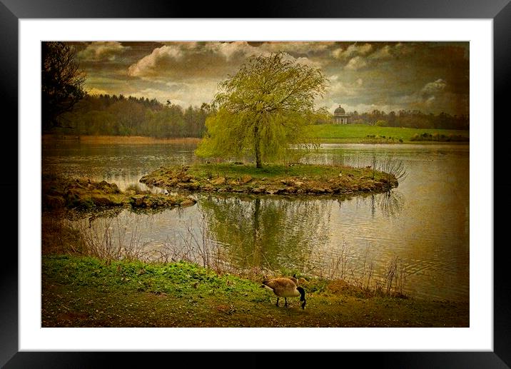 Lakeside Afternoon Framed Mounted Print by Martyn Arnold
