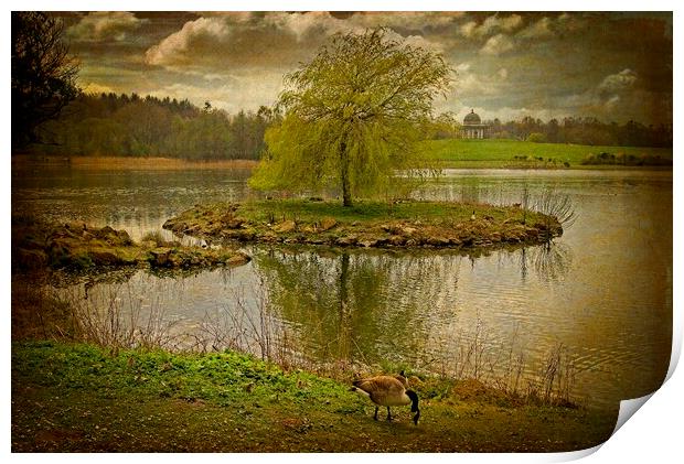 Lakeside Afternoon Print by Martyn Arnold