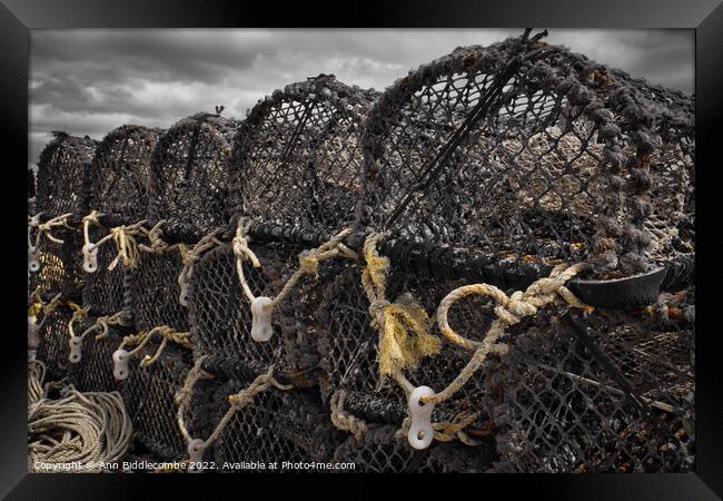 Fishing pots ready to go out Framed Print by Ann Biddlecombe