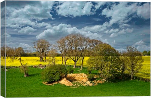 Fields Trees and Cloudy Sky Canvas Print by Martyn Arnold