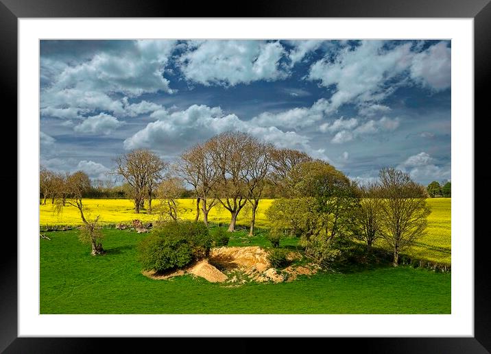 Fields Trees and Cloudy Sky Framed Mounted Print by Martyn Arnold