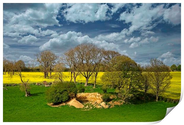 Fields Trees and Cloudy Sky Print by Martyn Arnold