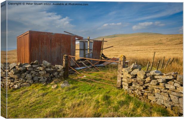 Walking along the Pennine Bridleway between Newby Head Gate to G Canvas Print by Peter Stuart