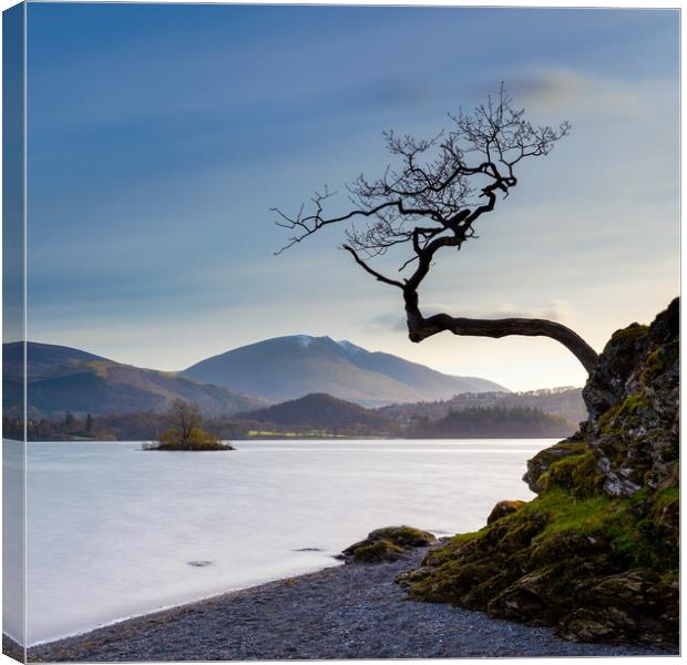 Otterbield Bay The Lake District National Park Canvas Print by Phil Durkin DPAGB BPE4