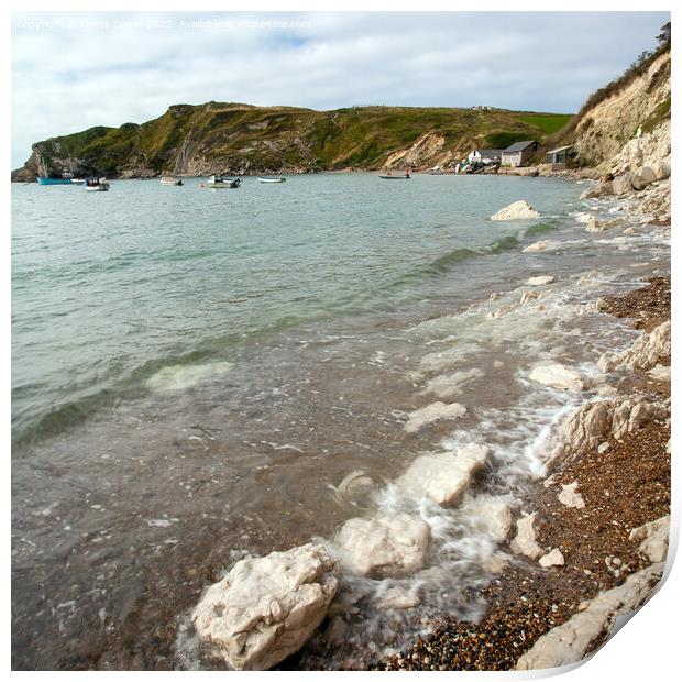 Lulworth Cove Print by Derek Daniel