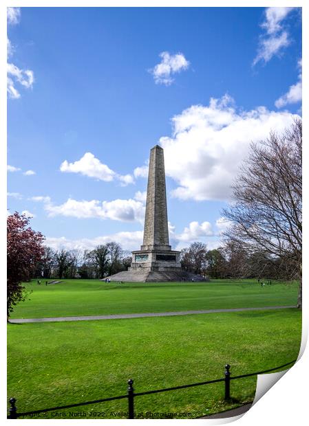 The monument to the Duke of Wellington in Phoenix Park Dublin. Print by Chris North