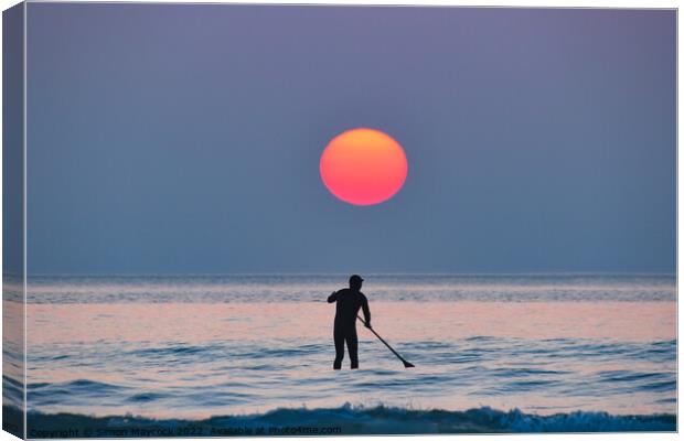 Polzeath  paddleboarder at sunset Canvas Print by Simon Maycock