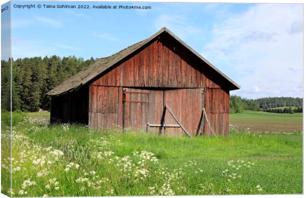 Red Wooden Barn in Field Canvas Print by Taina Sohlman