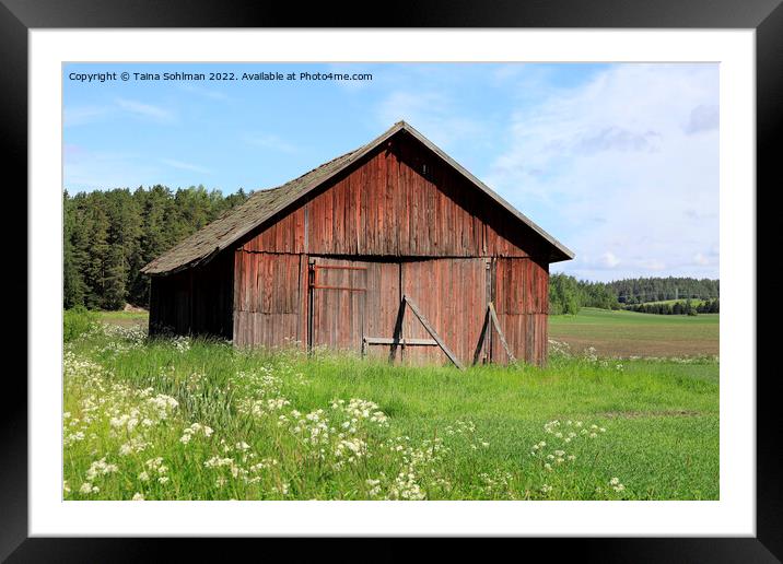 Red Wooden Barn in Field Framed Mounted Print by Taina Sohlman