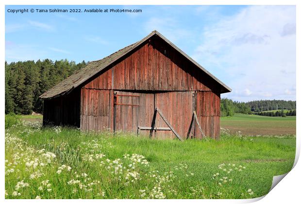 Red Wooden Barn in Field Print by Taina Sohlman