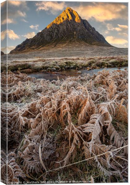 Icy  Buachaille Etve Mor Canvas Print by Northern Wild