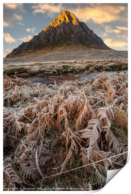 Icy  Buachaille Etve Mor Print by Northern Wild