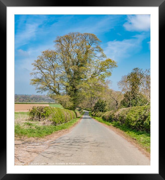 Spring Arrives at Thorpe, Teesdale Framed Mounted Print by Richard Laidler