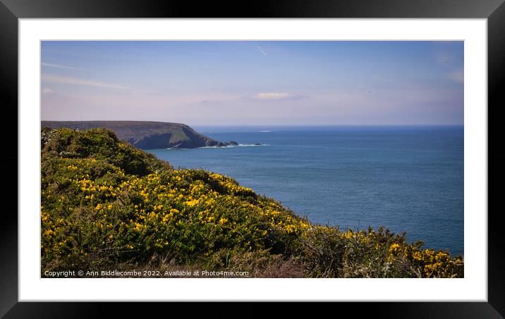 Hells mouth looking along the coast Framed Mounted Print by Ann Biddlecombe