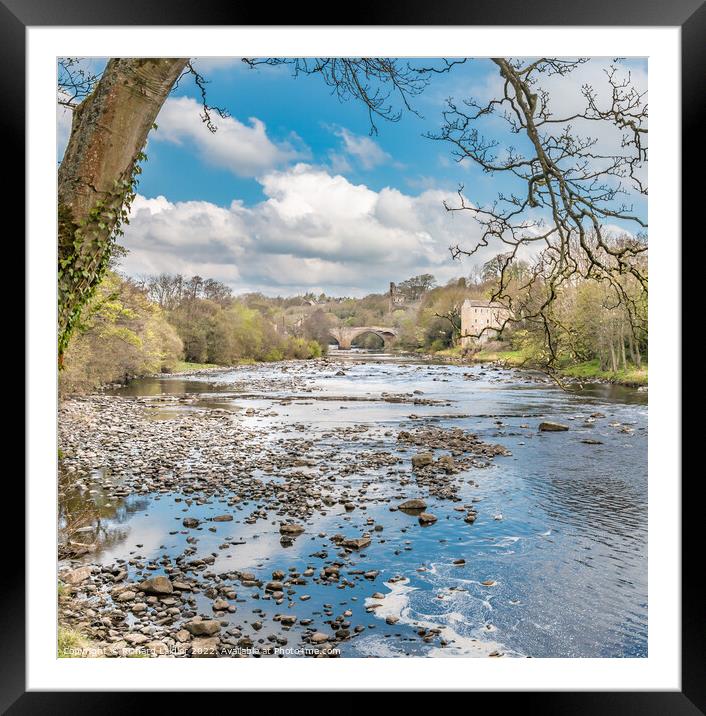 Upstream to the County Bridge Barnard Castle, Teesdale Framed Mounted Print by Richard Laidler
