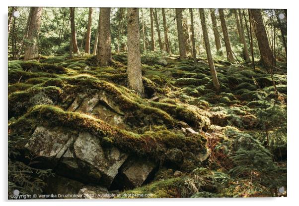 Plant tree. Forest in Carpathian Acrylic by Veronika Druzhnieva