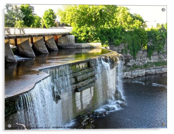 Rideau Falls Acrylic by Stephanie Moore