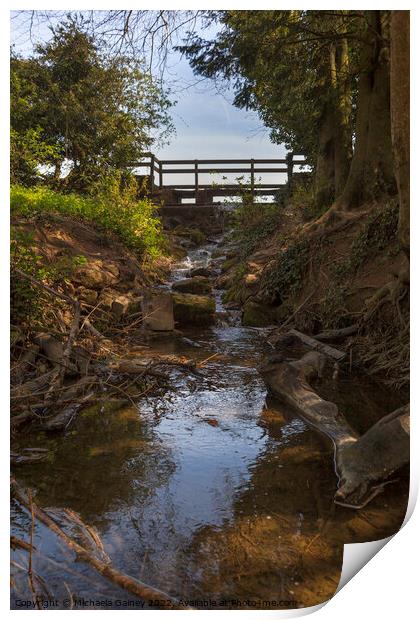 Stanton Park, Wiltshire, Swindon, UK Print by Michaela Gainey