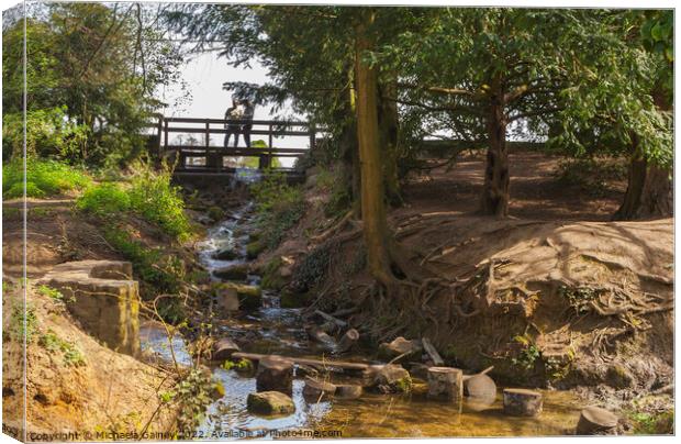 Stanton Park, Wiltshire, Swindon, UK 1 Canvas Print by Michaela Gainey