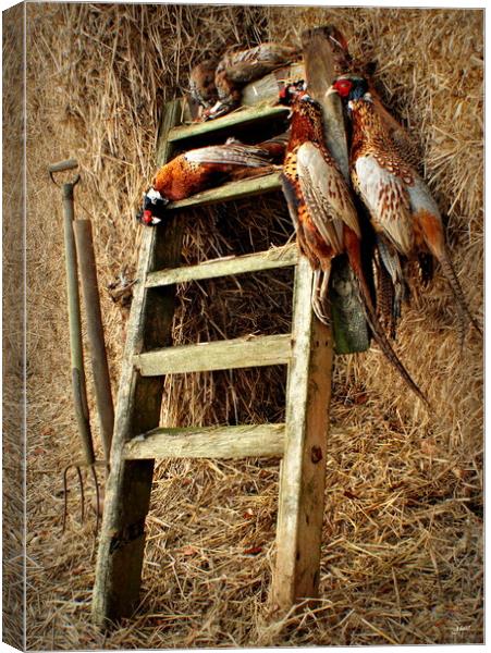  The Gamekeepers Prize  Canvas Print by Jon Fixter