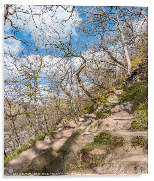 A Steep Bit on the Teesdale Way near Barnard Castle Acrylic by Richard Laidler