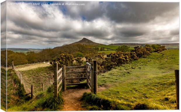 The gate to Roseberry Topping Canvas Print by keith sayer