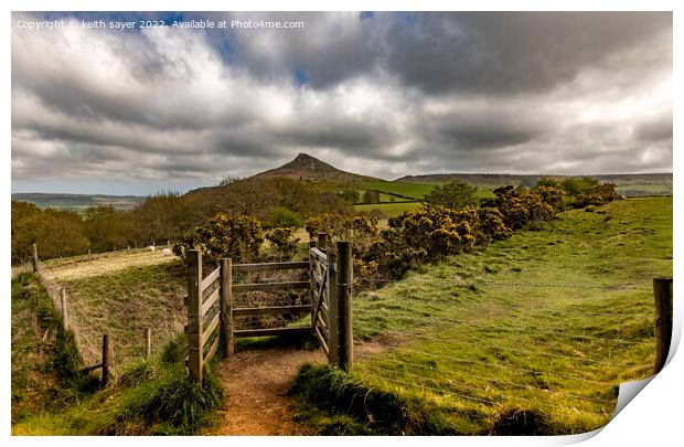 The gate to Roseberry Topping Print by keith sayer