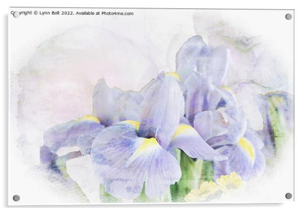 Iris Acrylic by Lynn Bolt