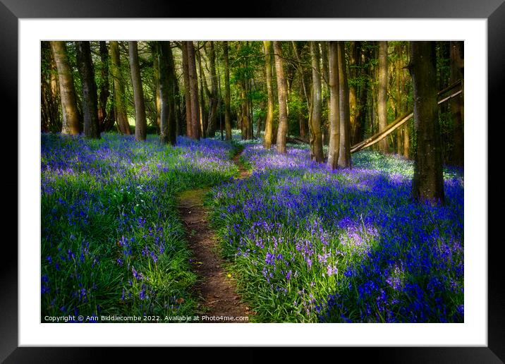 Follow the path through the bluebells Framed Mounted Print by Ann Biddlecombe