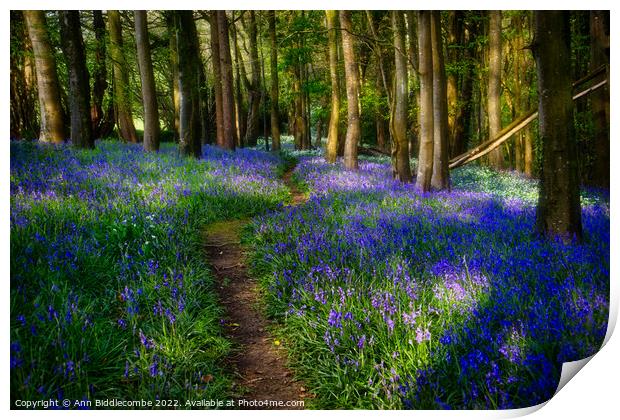 Follow the path through the bluebells Print by Ann Biddlecombe