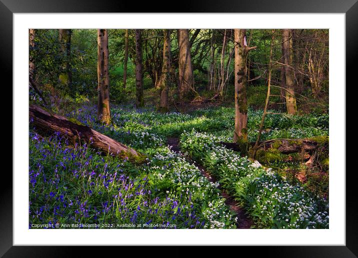 follow the path Framed Mounted Print by Ann Biddlecombe