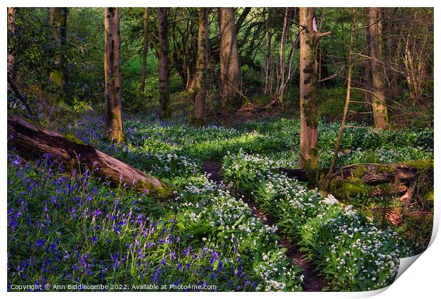 follow the path Print by Ann Biddlecombe