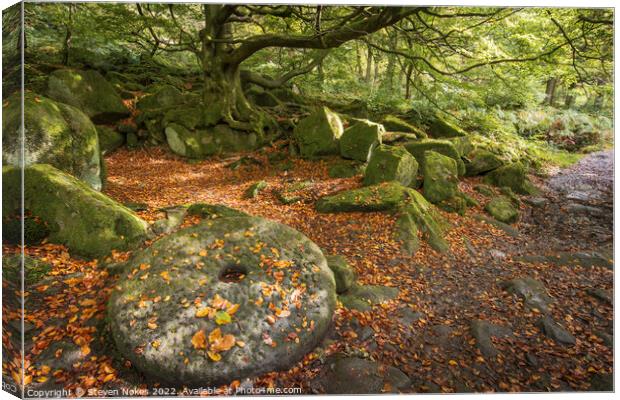 The Forgotten Millstone Canvas Print by Steven Nokes