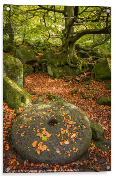 Ancient Relics of Padley Gorge Acrylic by Steven Nokes