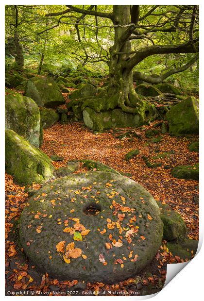 Ancient Relics of Padley Gorge Print by Steven Nokes