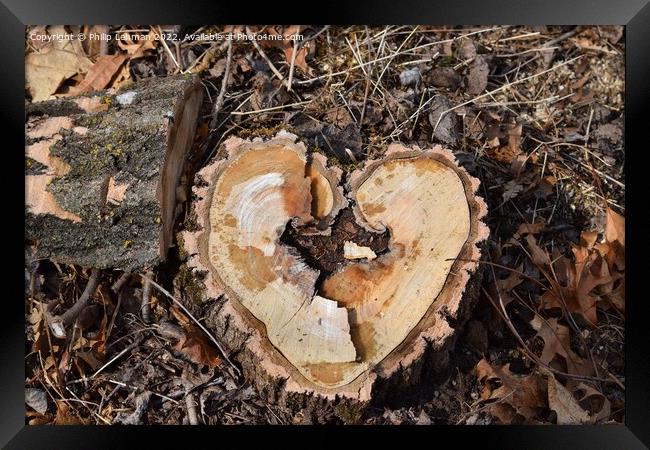 Heart Stump 2A Framed Print by Philip Lehman