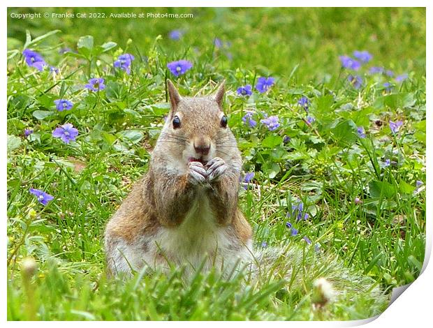 Squirrel Amongst Wild Violets Print by Frankie Cat