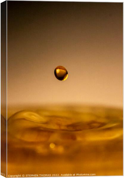 Drop of Gold Canvas Print by STEPHEN THOMAS