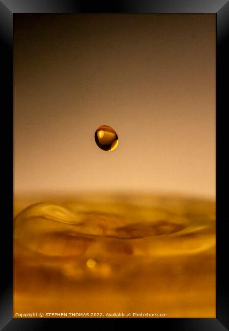 Drop of Gold Framed Print by STEPHEN THOMAS