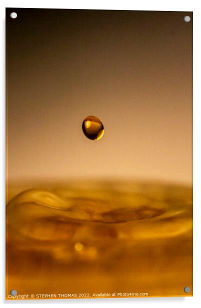Drop of Gold Acrylic by STEPHEN THOMAS