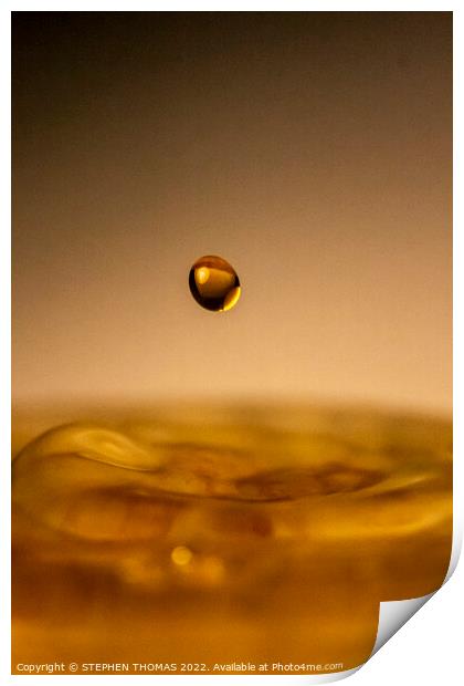 Drop of Gold Print by STEPHEN THOMAS