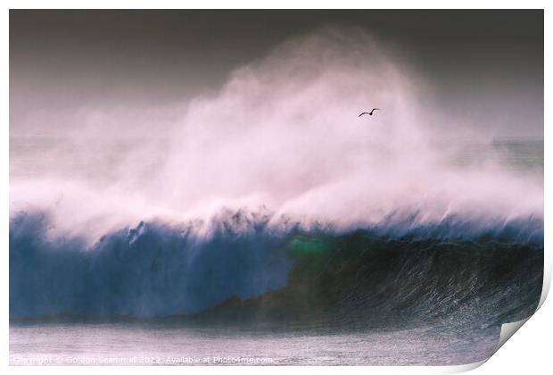 A seagull flying through spray blown off a large w Print by Gordon Scammell