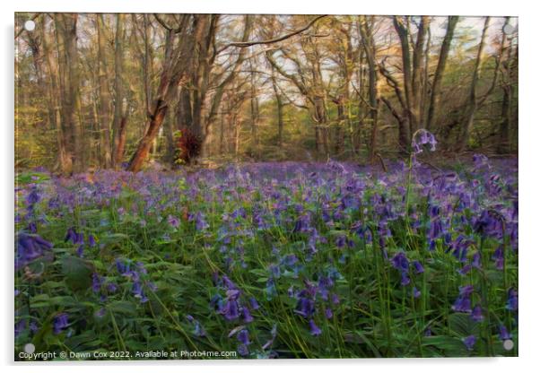 beautiful bluebell woodland  Acrylic by Dawn Cox