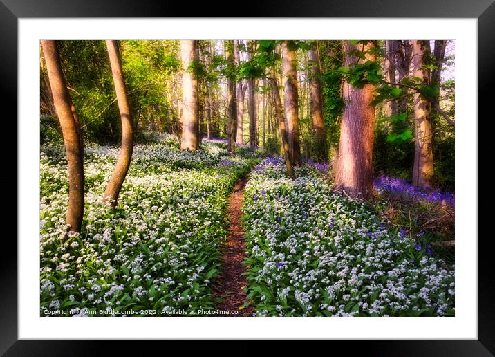 Mystical woods Framed Mounted Print by Ann Biddlecombe